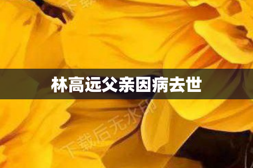 林高远父亲因病去世