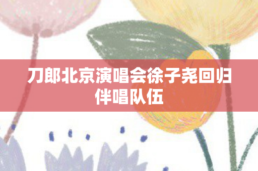 刀郎北京演唱会徐子尧回归伴唱队伍