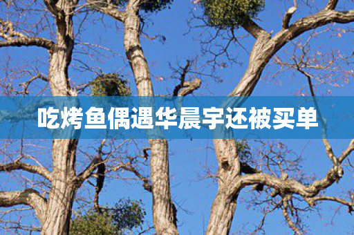 吃烤鱼偶遇华晨宇还被买单