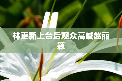 林更新上台后观众高喊赵丽颖