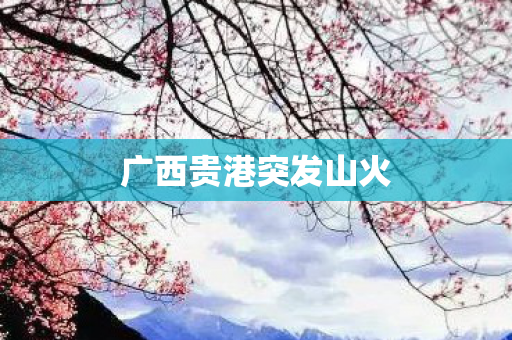 广西贵港突发山火