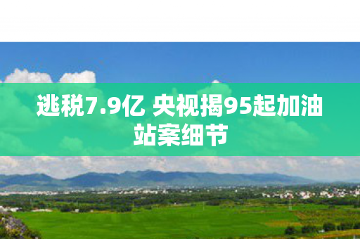 逃税7.9亿 央视揭95起加油站案细节