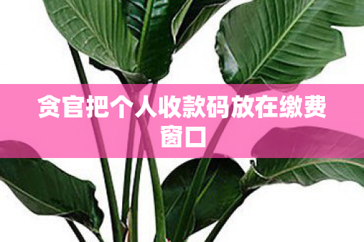 贪官把个人收款码放在缴费窗口