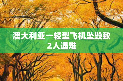 澳大利亚一轻型飞机坠毁致2人遇难