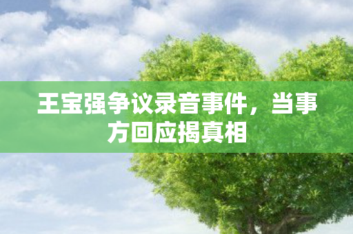 王宝强争议录音事件，当事方回应揭真相