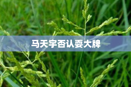 马天宇否认耍大牌