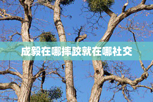 成毅在哪摔跤就在哪社交
