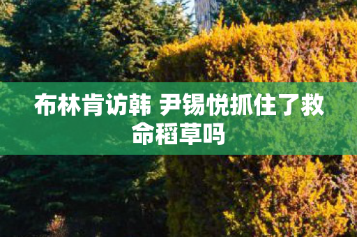 布林肯访韩 尹锡悦抓住了救命稻草吗