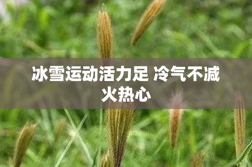 冰雪运动活力足 冷气不减火热心