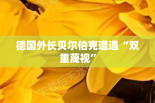 德国外长贝尔伯克遭遇“双重蔑视”