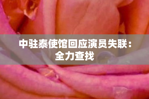 中驻泰使馆回应演员失联：全力查找