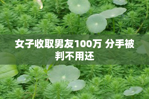 女子收取男友100万 分手被判不用还