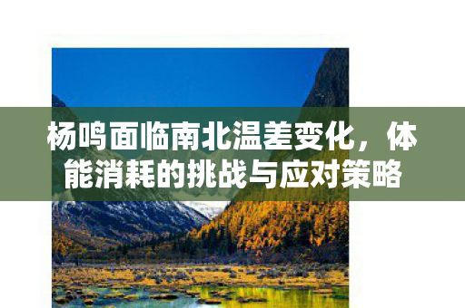 杨鸣面临南北温差变化，体能消耗的挑战与应对策略