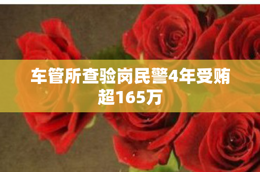车管所查验岗民警4年受贿超165万
