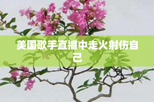 美国歌手直播中走火射伤自己