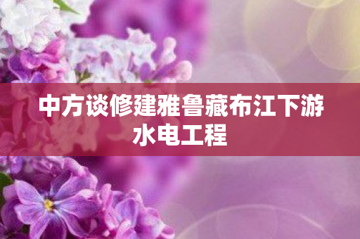 中方谈修建雅鲁藏布江下游水电工程