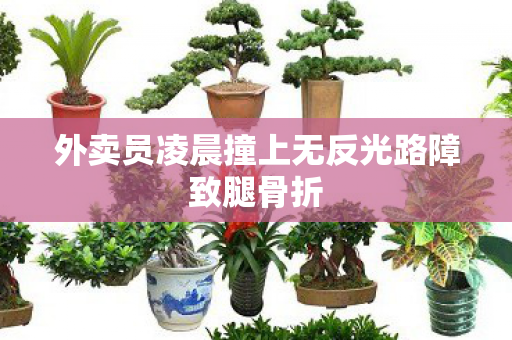 外卖员凌晨撞上无反光路障致腿骨折