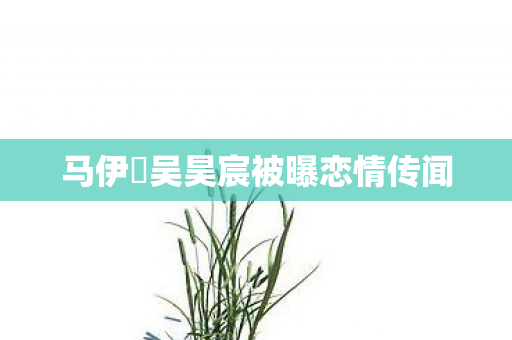 马伊琍吴昊宸被曝恋情传闻