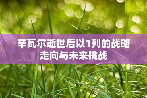 辛瓦尔逝世后以1列的战略走向与未来挑战
