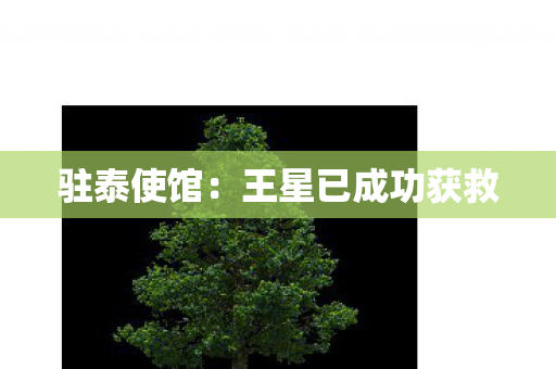 驻泰使馆：王星已成功获救