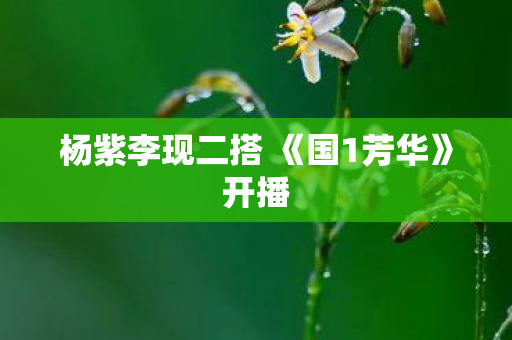 杨紫李现二搭 《国1芳华》开播