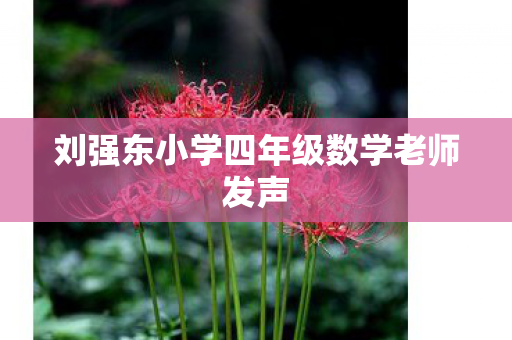 刘强东小学四年级数学老师发声