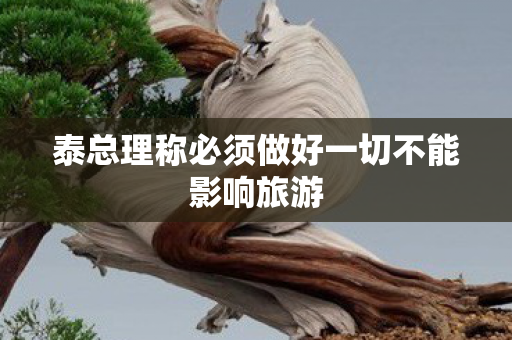 泰总理称必须做好一切不能影响旅游