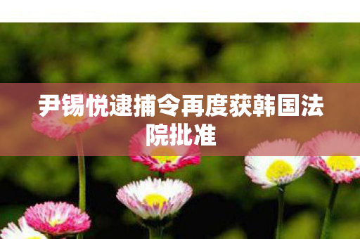 尹锡悦逮捕令再度获韩国法院批准