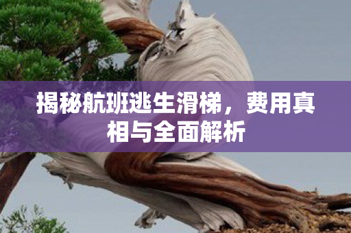 揭秘航班逃生滑梯，费用真相与全面解析