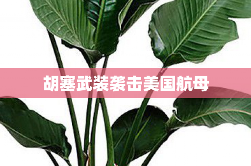 胡塞武装袭击美国航母