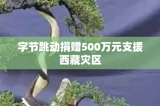 字节跳动捐赠500万元支援西藏灾区