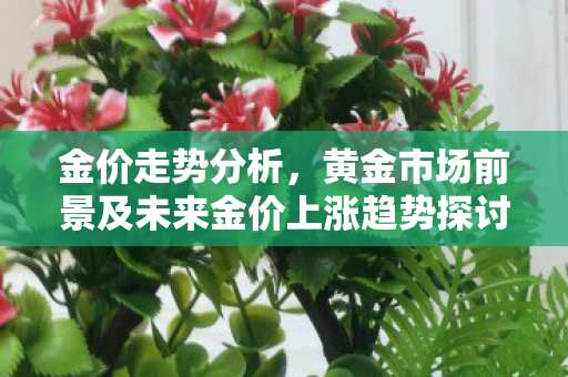 金价走势分析，黄金市场前景及未来金价上涨趋势探讨
