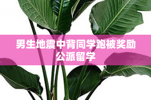 男生地震中背同学跑被奖励公派留学