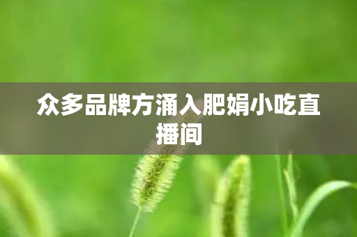 众多品牌方涌入肥娟小吃直播间