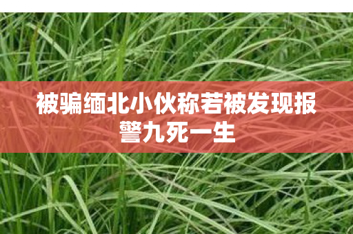 被骗缅北小伙称若被发现报警九死一生