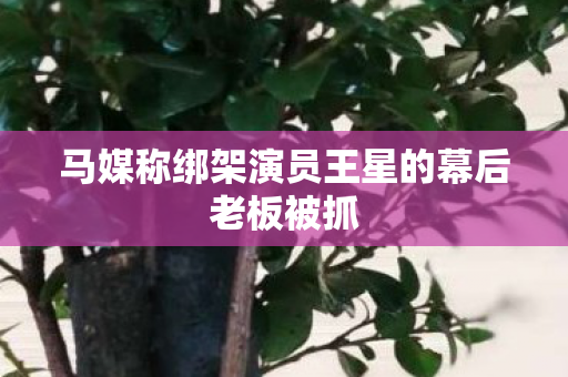 马媒称绑架演员王星的幕后老板被抓