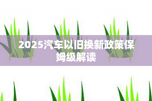2025汽车以旧换新政策保姆级解读