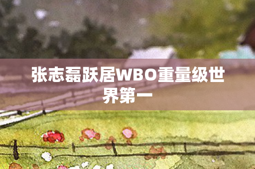 张志磊跃居WBO重量级世界第一