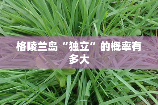 格陵兰岛“独立”的概率有多大