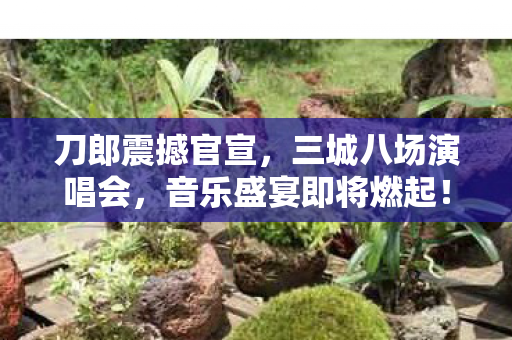 刀郎震撼官宣，三城八场演唱会，音乐盛宴即将燃起！