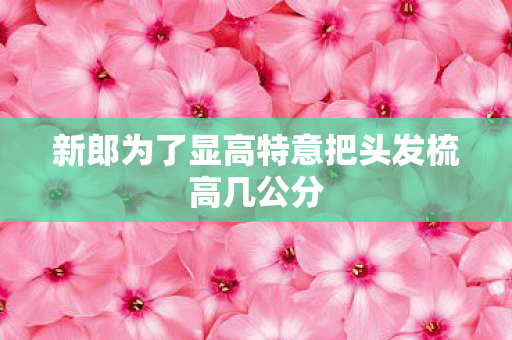 新郎为了显高特意把头发梳高几公分
