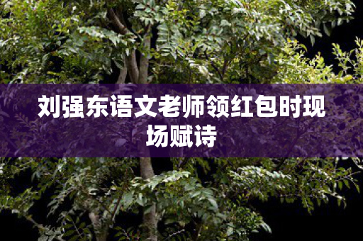 刘强东语文老师领红包时现场赋诗