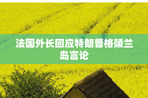 法国外长回应特朗普格陵兰岛言论