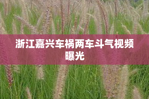 浙江嘉兴车祸两车斗气视频曝光