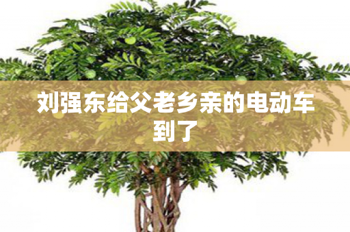 刘强东给父老乡亲的电动车到了