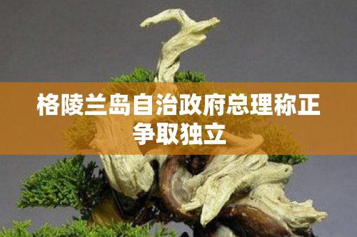 格陵兰岛自治政府总理称正争取独立
