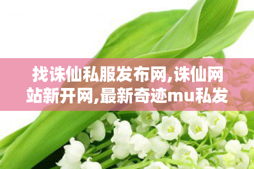 找诛仙私服发布网,诛仙网站新开网,最新奇迹mu私发服网,诛仙网站新开网