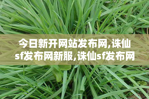 今日新开网站发布网,诛仙sf发布网新服,诛仙sf发布网,诛仙sf发布网新服