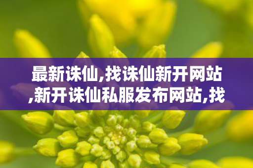 最新诛仙,找诛仙新开网站,新开诛仙私服发布网站,找诛仙新开网站