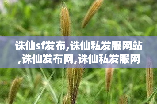 诛仙sf发布,诛仙私发服网站,诛仙发布网,诛仙私发服网站
